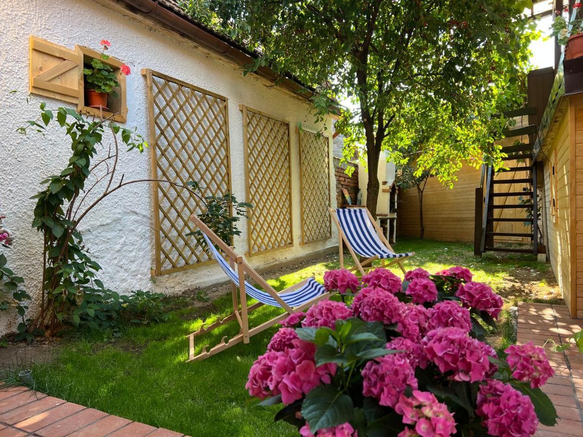 Victoria Gasthaus Rasnov - Charming Vacation House In Rasnov Εξωτερικό φωτογραφία