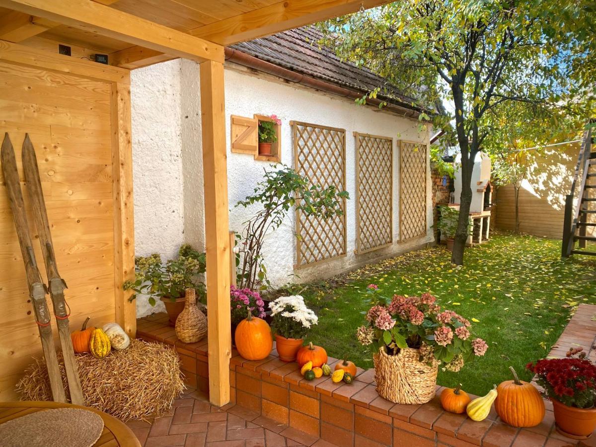 Victoria Gasthaus Rasnov - Charming Vacation House In Rasnov Εξωτερικό φωτογραφία
