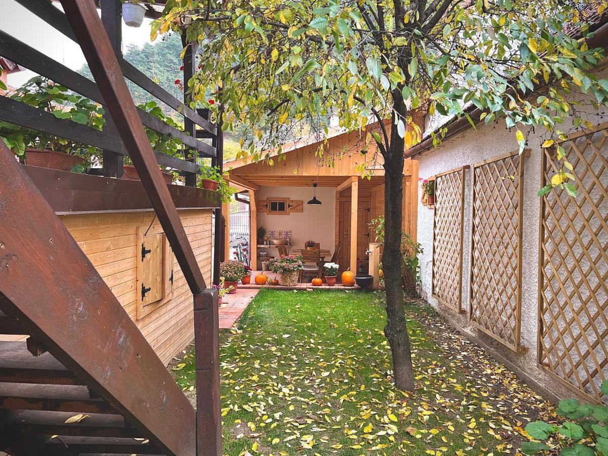 Victoria Gasthaus Rasnov - Charming Vacation House In Rasnov Εξωτερικό φωτογραφία