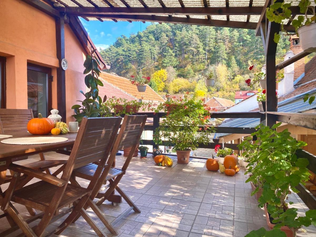 Victoria Gasthaus Rasnov - Charming Vacation House In Rasnov Εξωτερικό φωτογραφία